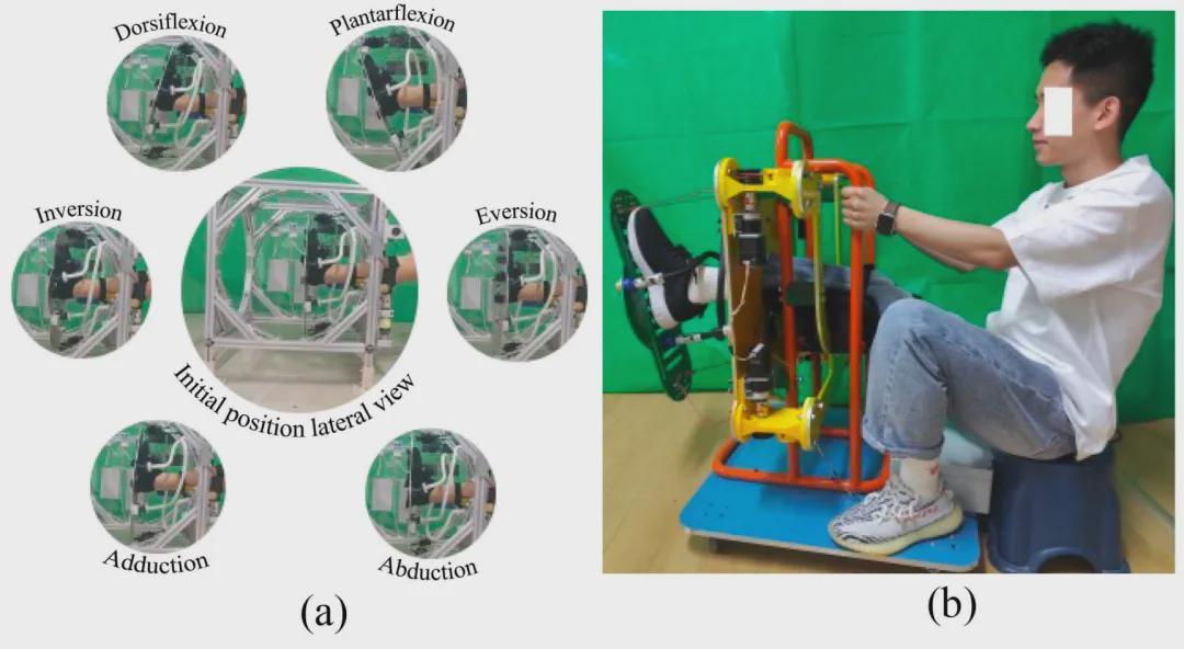 踝关节康复革命！仿生绳索机器人如何精准复刻人体螺旋密码？(图6)